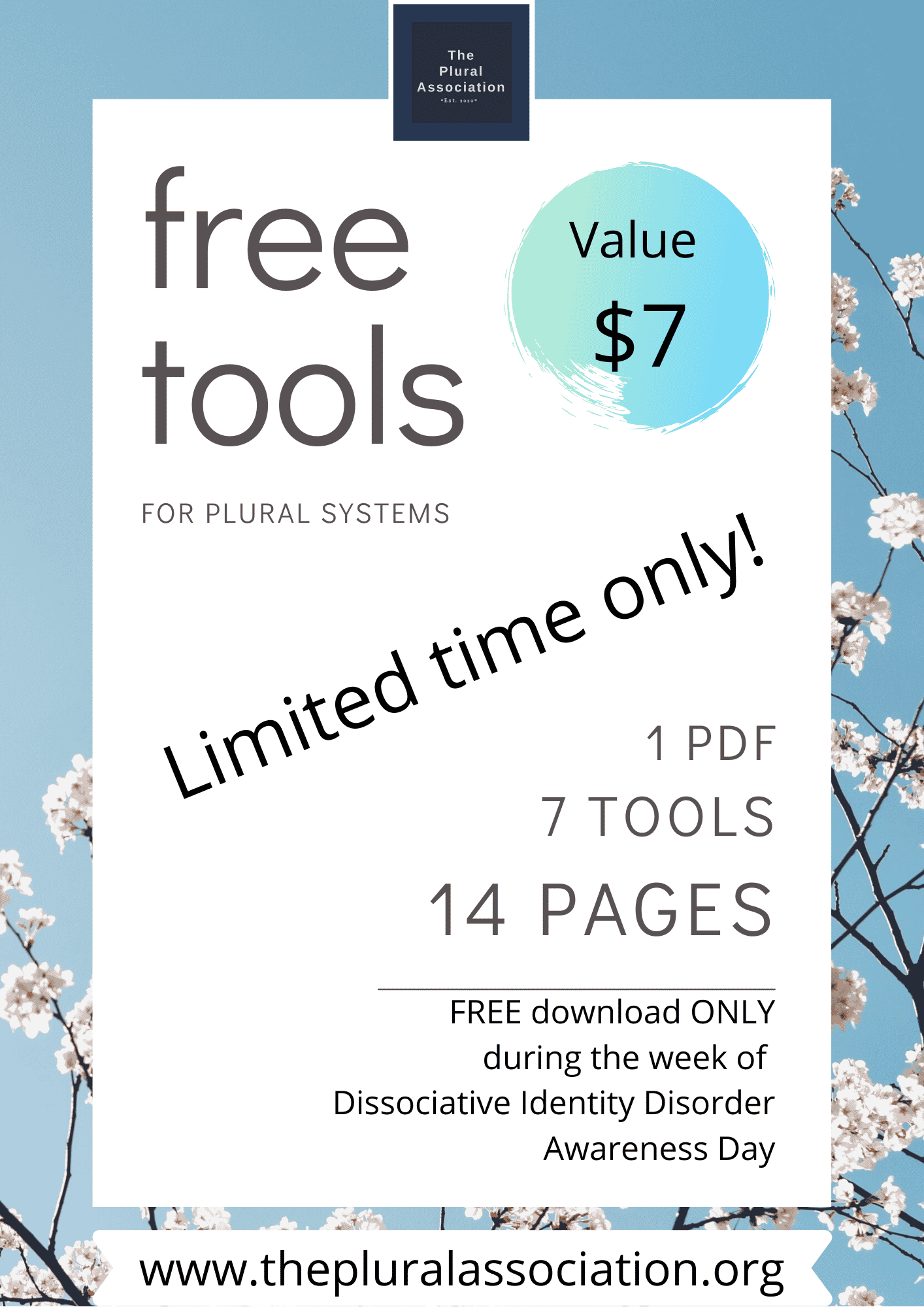 collective system package for the personhood article